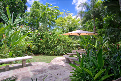 garden.jpg